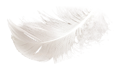 feather