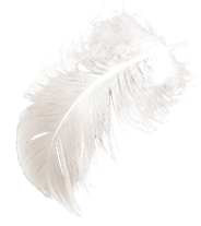 feather