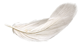 feather